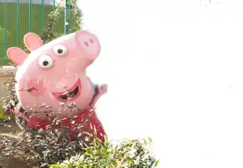 Foto Effekt från kategori Olika ramar för foton med barn № 101439 Foto Effekt från kategori Olika ramar för foton med barn № 101439