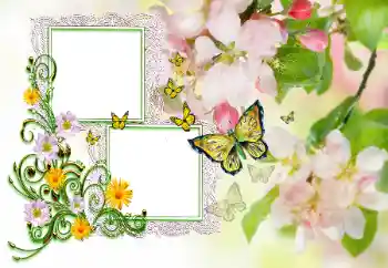 Inskriptionen på ramen: Grattis! Inskriptionen på ramen: Grattis!