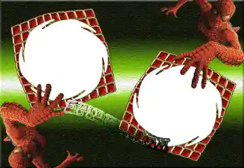 Inskriptionen på ramen: Spiderman Inskriptionen på ramen: Spiderman