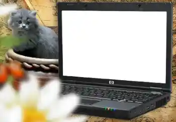 Foto Effekt från kategori Olika ramar för foton med barn № 157214 Foto Effekt från kategori Olika ramar för foton med barn № 157214