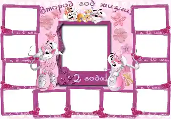 Inskriptionen på ramen: 2 år Inskriptionen på ramen: 2 år