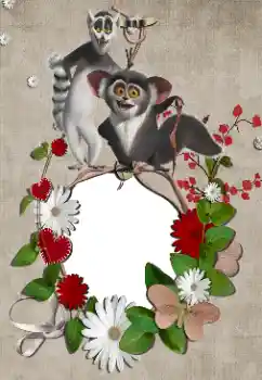 Foto Effekt från kategori Olika ramar för foton med barn № 39285