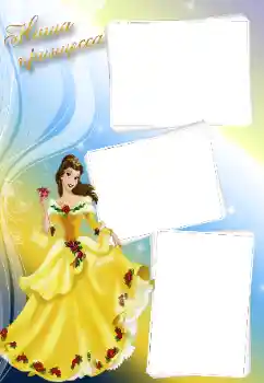 Inskriptionen på ramen: Princess Inskriptionen på ramen: Princess