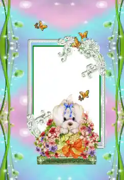 Foto Effekt från kategori Barnens semester № 151673 Foto Effekt från kategori Barnens semester № 151673