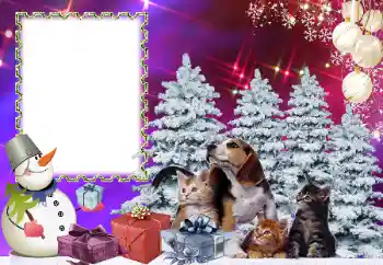 Foto Effekt från kategori Barnens semester № 178291 Foto Effekt från kategori Barnens semester № 178291