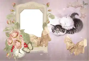 Foto Effekt från kategori Bada, äta, sova № 153184 Foto Effekt från kategori Bada, äta, sova № 153184