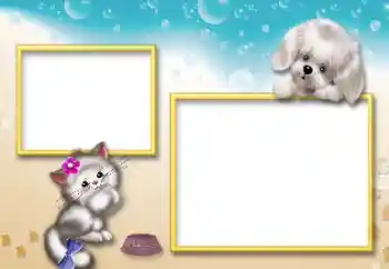 Foto Effekt från kategori Mina leksaker och husdjur № 127098