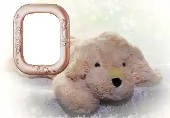 Foto Effekt från kategori Mina leksaker och husdjur № 169102