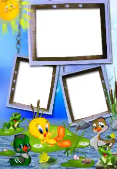 Foto Effekt från kategori Utomhus № 104076 Foto Effekt från kategori Utomhus № 104076