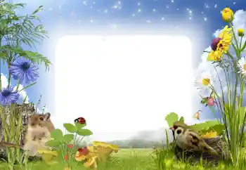 Foto Effekt från kategori Utomhus № 141000 Foto Effekt från kategori Utomhus № 141000