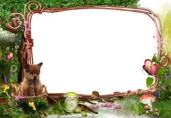 Foto Effekt från kategori Utomhus № 142331 Foto Effekt från kategori Utomhus № 142331