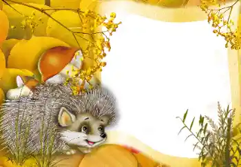 Foto Effekt från kategori Utomhus № 166562