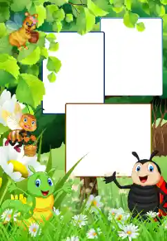 Foto Effekt från kategori Utomhus № 180793