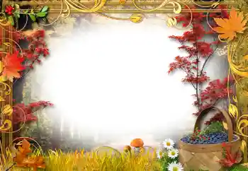 Foto Effekt från kategori Utomhus № 192842