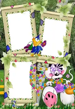 Foto Effekt från kategori Utomhus № 39022 Foto Effekt från kategori Utomhus № 39022