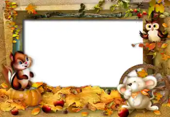 Foto Effekt från kategori Utomhus № 42535 Foto Effekt från kategori Utomhus № 42535