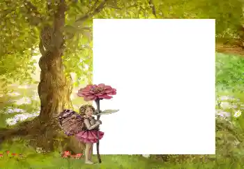 Foto Effekt från kategori Utomhus № 9863 Foto Effekt från kategori Utomhus № 9863