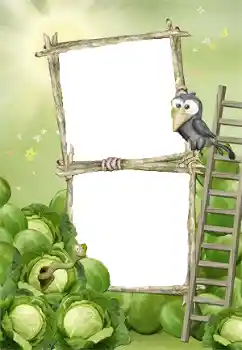 Foto Effekt från kategori Första året № 140978