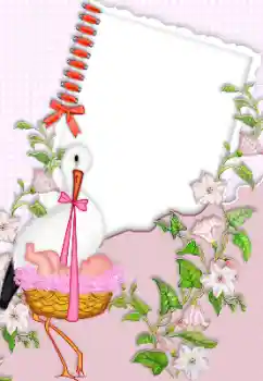 Foto Effekt från kategori Första året № 150384