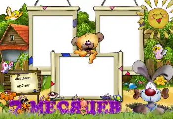 Inskriptionen på ramen: 7 månader