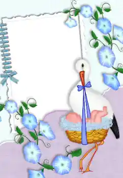 Foto Effekt från kategori Första året № 99875 Foto Effekt från kategori Första året № 99875