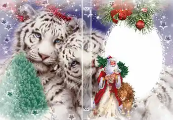 Inskriptionen på ramen: Nyår Inskriptionen på ramen: Nyår