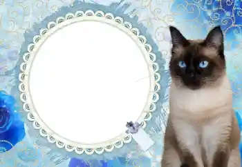 Inskriptionen på ramen: 2026