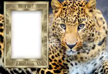 Inskriptionen på ramen: 2026