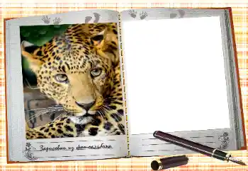 Inskriptionen på ramen: 2026