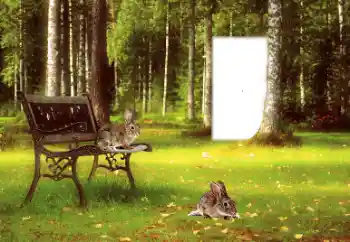 Inskriptionen på ramen: 2026