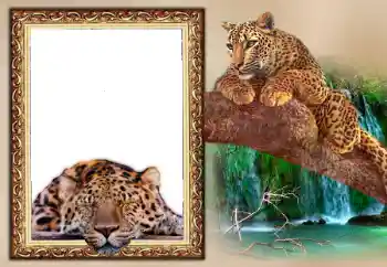 Inskriptionen på ramen: 2026