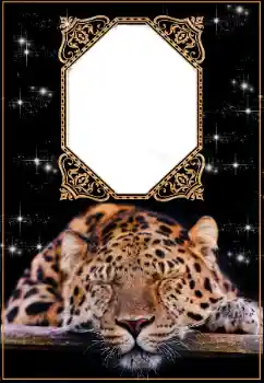 Inskriptionen på ramen: 2026