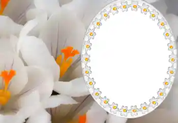 Inskriptionen på ramen: 2026