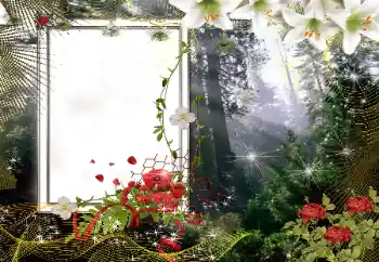 Inskriptionen på ramen: 2026