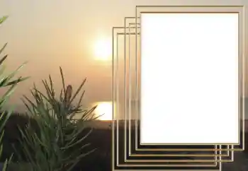 Inskriptionen på ramen: 2026