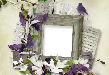 Foto Effekt från kategori Olika № 100112