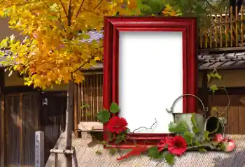 Foto Effekt från kategori Olika № 100114