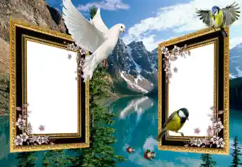 Foto Effekt från kategori Olika № 101225