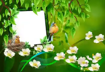 Foto Effekt från kategori Olika № 101227