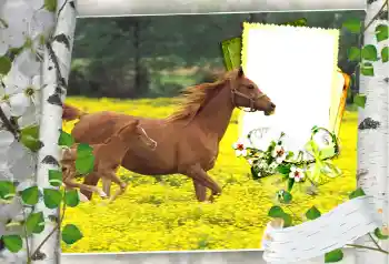 Foto Effekt från kategori Olika № 101264