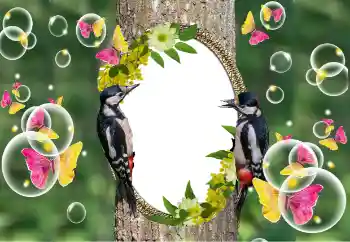 Foto Effekt från kategori Olika № 101320