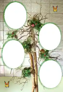 Foto Effekt från kategori Olika № 101323