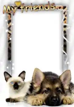 Inskriptionen på ramen: Mina vänner