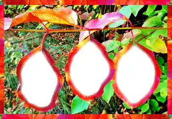 Foto Effekt från kategori Olika № 102598