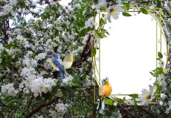 Foto Effekt från kategori Olika № 104101 Foto Effekt från kategori Olika № 104101