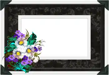 Foto Effekt från kategori Olika № 104106 Foto Effekt från kategori Olika № 104106