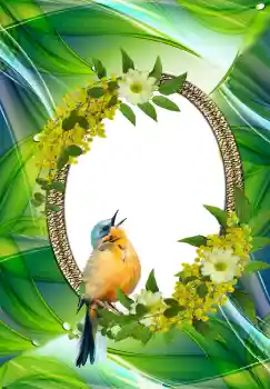 Foto Effekt från kategori Olika № 105576 Foto Effekt från kategori Olika № 105576