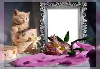 Foto Effekt från kategori Olika № 10835 Foto Effekt från kategori Olika № 10835