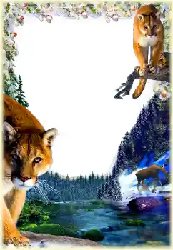 Foto Effekt från kategori Olika № 112361 Foto Effekt från kategori Olika № 112361