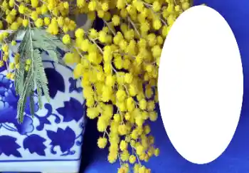 Foto Effekt från kategori Olika № 112719 Foto Effekt från kategori Olika № 112719